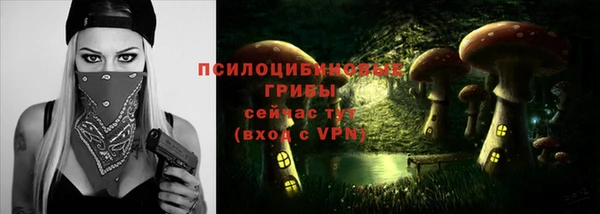 мет Коряжма