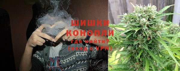 каннабис Корсаков