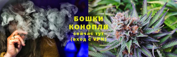 крисы Медвежьегорск